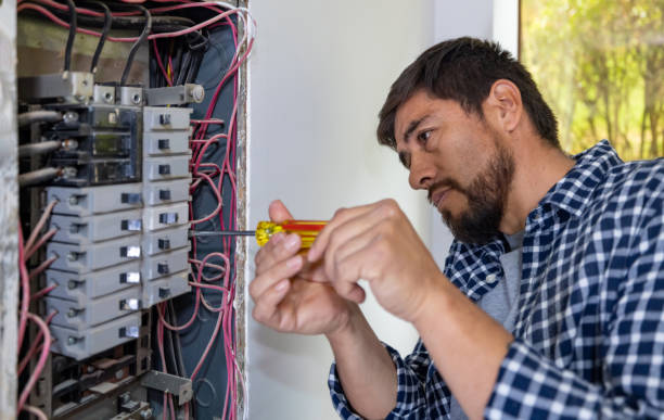 Best Affordable Electrician  in Jonesville, MI